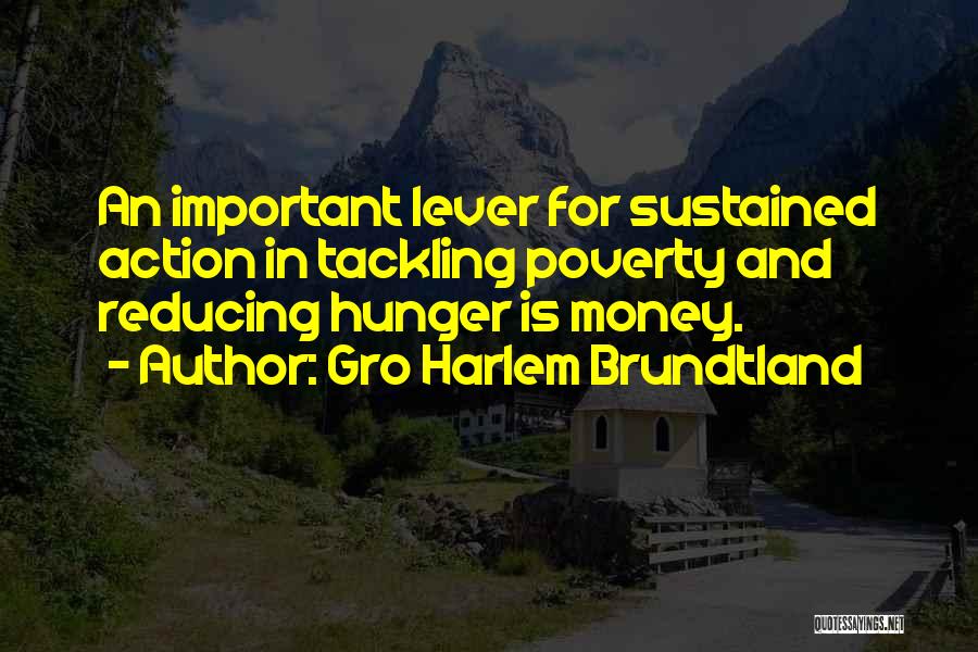 Gro Harlem Brundtland Quotes: An Important Lever For Sustained Action In Tackling Poverty And Reducing Hunger Is Money.