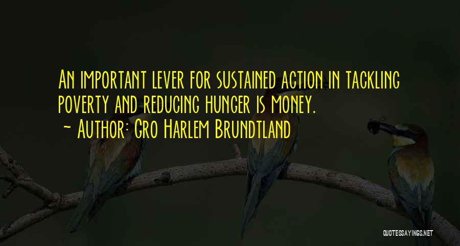 Gro Harlem Brundtland Quotes: An Important Lever For Sustained Action In Tackling Poverty And Reducing Hunger Is Money.