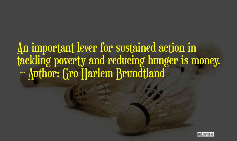 Gro Harlem Brundtland Quotes: An Important Lever For Sustained Action In Tackling Poverty And Reducing Hunger Is Money.