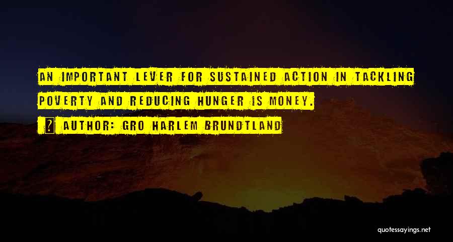 Gro Harlem Brundtland Quotes: An Important Lever For Sustained Action In Tackling Poverty And Reducing Hunger Is Money.