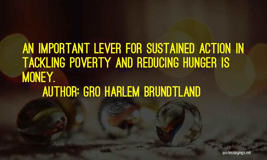 Gro Harlem Brundtland Quotes: An Important Lever For Sustained Action In Tackling Poverty And Reducing Hunger Is Money.