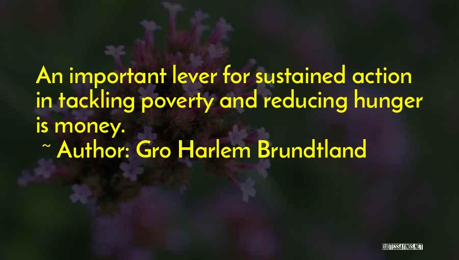 Gro Harlem Brundtland Quotes: An Important Lever For Sustained Action In Tackling Poverty And Reducing Hunger Is Money.