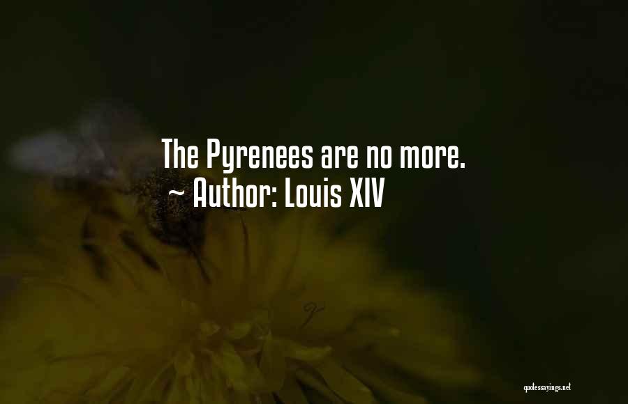 Louis XIV Quotes: The Pyrenees Are No More.