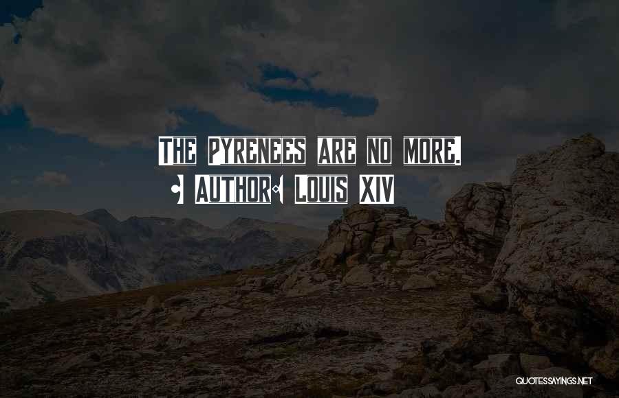 Louis XIV Quotes: The Pyrenees Are No More.