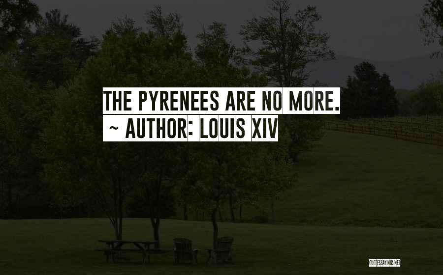 Louis XIV Quotes: The Pyrenees Are No More.
