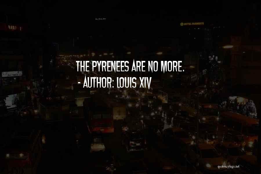 Louis XIV Quotes: The Pyrenees Are No More.
