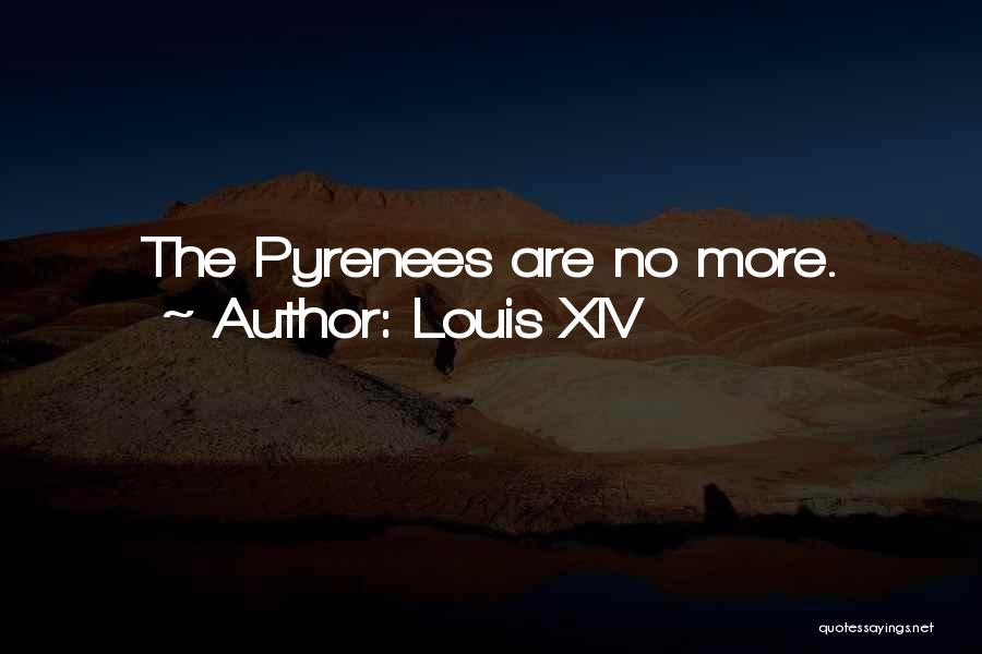 Louis XIV Quotes: The Pyrenees Are No More.