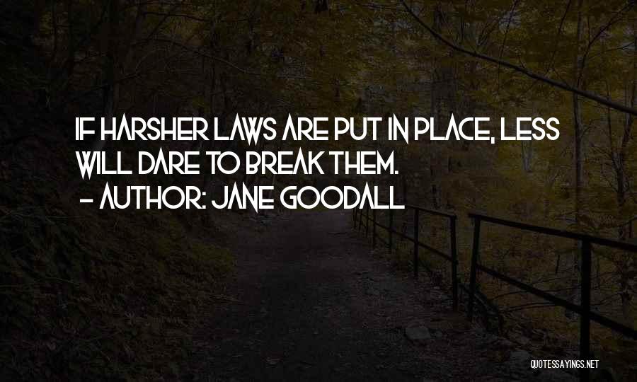 Jane Goodall Quotes: If Harsher Laws Are Put In Place, Less Will Dare To Break Them.