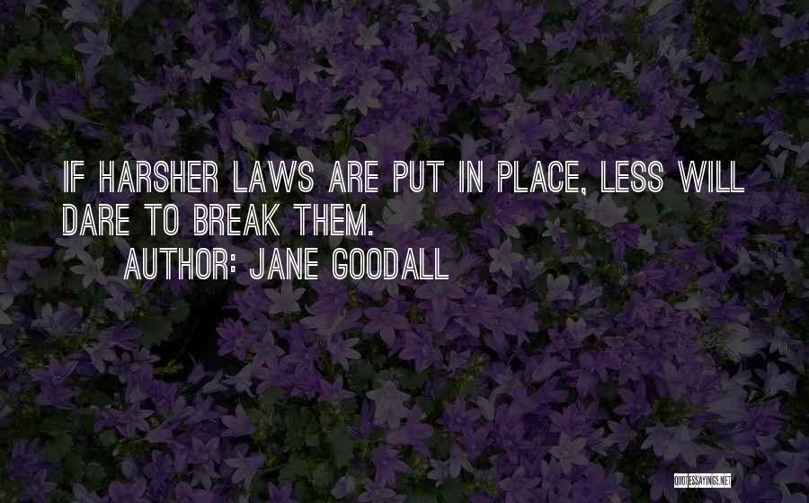 Jane Goodall Quotes: If Harsher Laws Are Put In Place, Less Will Dare To Break Them.