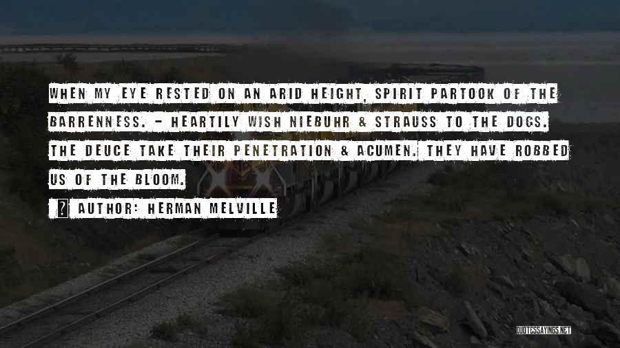 Herman Melville Quotes: When My Eye Rested On An Arid Height, Spirit Partook Of The Barrenness. - Heartily Wish Niebuhr & Strauss To