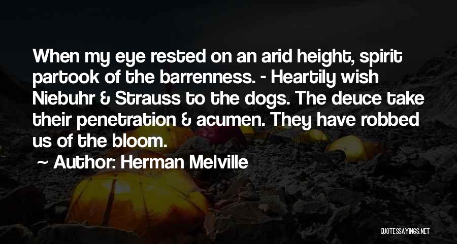Herman Melville Quotes: When My Eye Rested On An Arid Height, Spirit Partook Of The Barrenness. - Heartily Wish Niebuhr & Strauss To