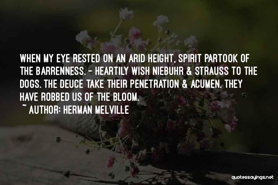 Herman Melville Quotes: When My Eye Rested On An Arid Height, Spirit Partook Of The Barrenness. - Heartily Wish Niebuhr & Strauss To
