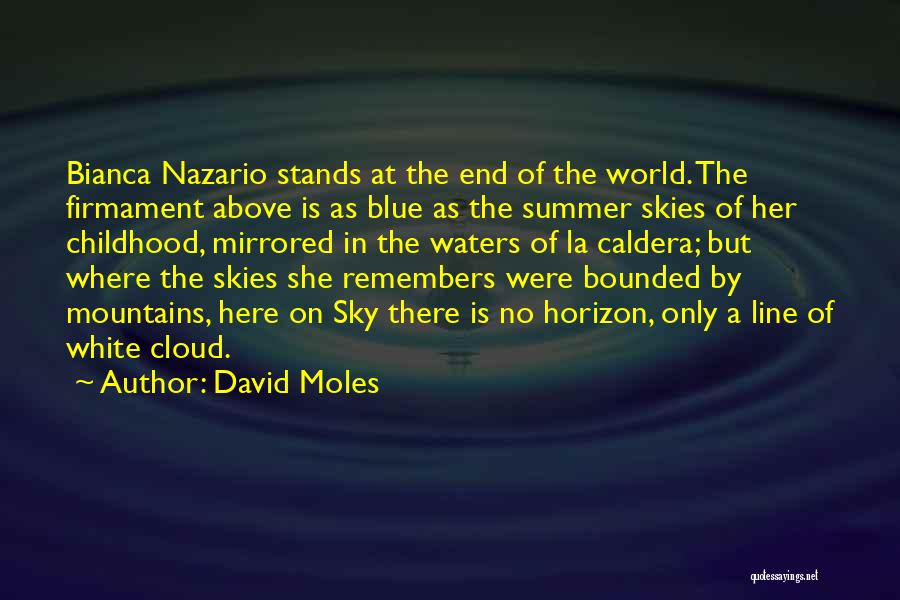 David Moles Quotes: Bianca Nazario Stands At The End Of The World. The Firmament Above Is As Blue As The Summer Skies Of