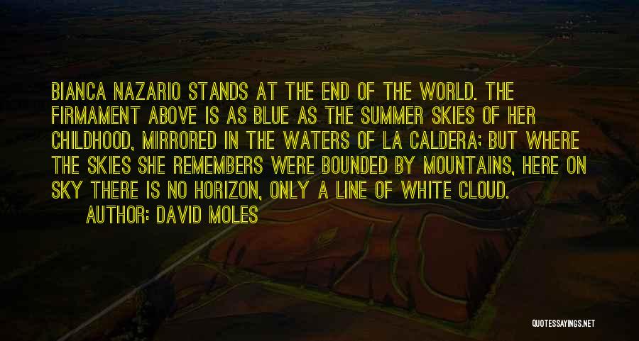 David Moles Quotes: Bianca Nazario Stands At The End Of The World. The Firmament Above Is As Blue As The Summer Skies Of