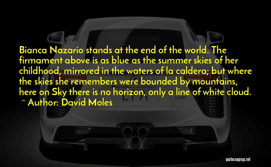 David Moles Quotes: Bianca Nazario Stands At The End Of The World. The Firmament Above Is As Blue As The Summer Skies Of