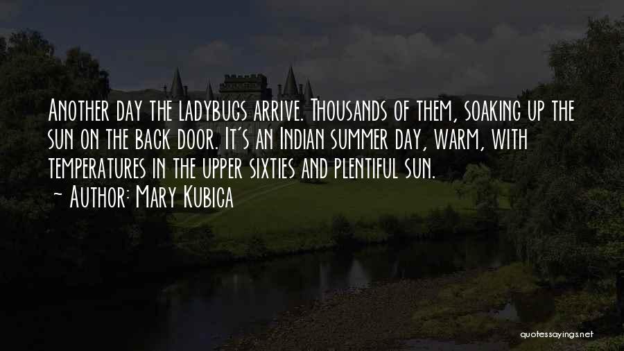 Mary Kubica Quotes: Another Day The Ladybugs Arrive. Thousands Of Them, Soaking Up The Sun On The Back Door. It's An Indian Summer