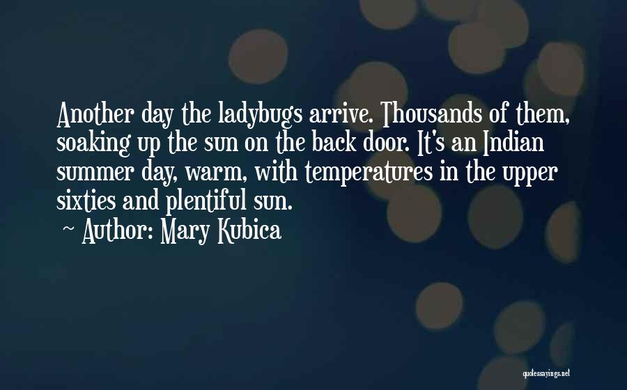 Mary Kubica Quotes: Another Day The Ladybugs Arrive. Thousands Of Them, Soaking Up The Sun On The Back Door. It's An Indian Summer