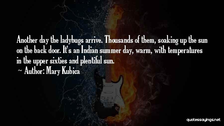 Mary Kubica Quotes: Another Day The Ladybugs Arrive. Thousands Of Them, Soaking Up The Sun On The Back Door. It's An Indian Summer