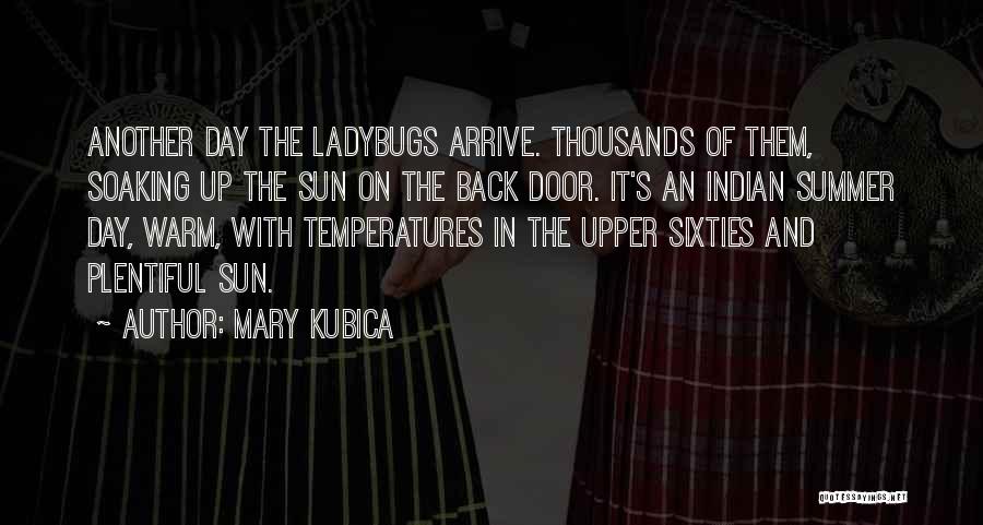 Mary Kubica Quotes: Another Day The Ladybugs Arrive. Thousands Of Them, Soaking Up The Sun On The Back Door. It's An Indian Summer