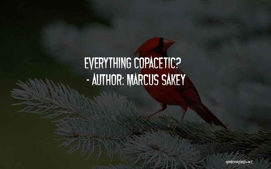 Marcus Sakey Quotes: Everything Copacetic?