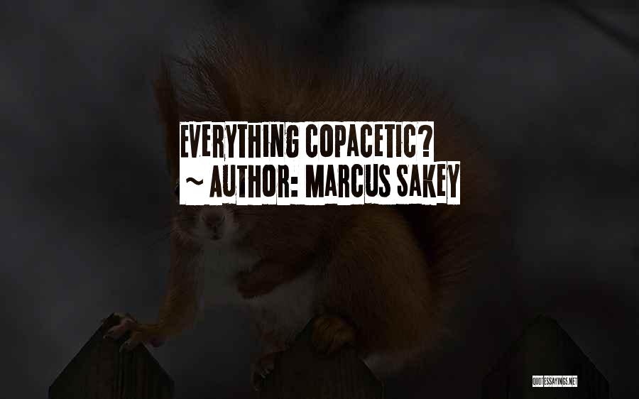 Marcus Sakey Quotes: Everything Copacetic?