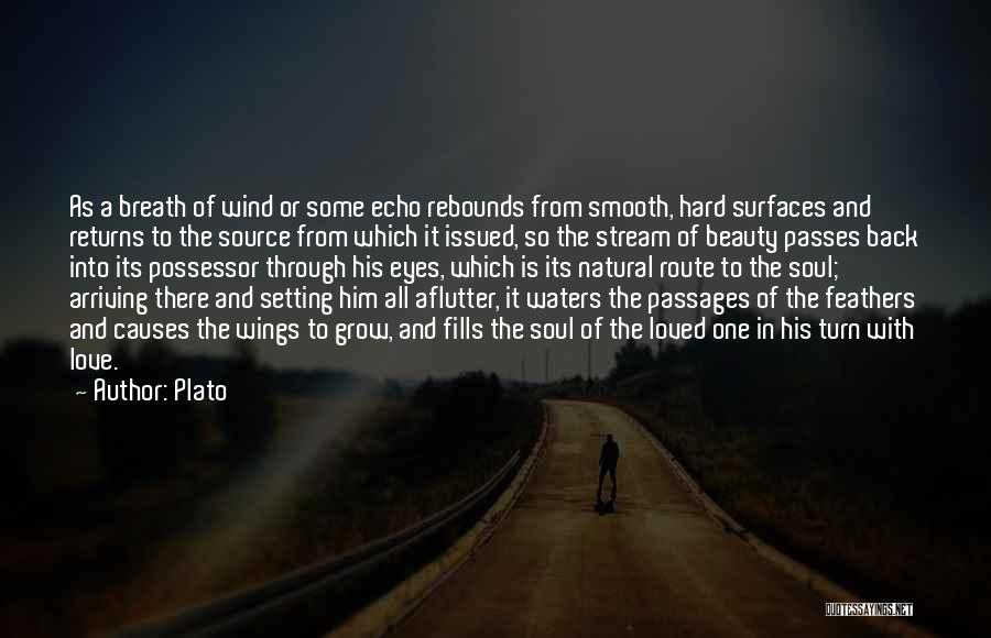 Plato Quotes: As A Breath Of Wind Or Some Echo Rebounds From Smooth, Hard Surfaces And Returns To The Source From Which