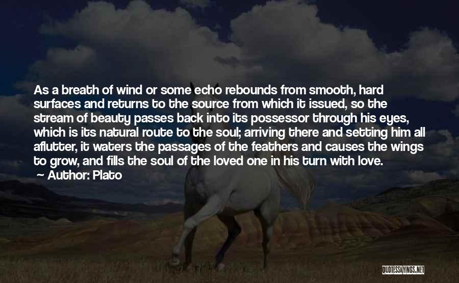 Plato Quotes: As A Breath Of Wind Or Some Echo Rebounds From Smooth, Hard Surfaces And Returns To The Source From Which