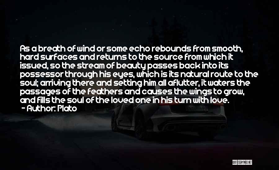 Plato Quotes: As A Breath Of Wind Or Some Echo Rebounds From Smooth, Hard Surfaces And Returns To The Source From Which