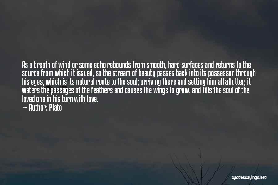 Plato Quotes: As A Breath Of Wind Or Some Echo Rebounds From Smooth, Hard Surfaces And Returns To The Source From Which