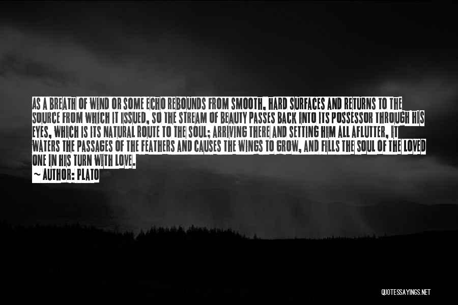 Plato Quotes: As A Breath Of Wind Or Some Echo Rebounds From Smooth, Hard Surfaces And Returns To The Source From Which