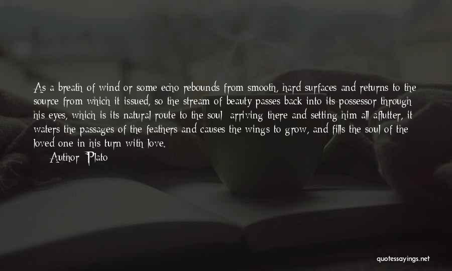 Plato Quotes: As A Breath Of Wind Or Some Echo Rebounds From Smooth, Hard Surfaces And Returns To The Source From Which