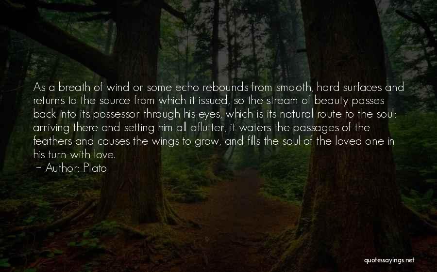 Plato Quotes: As A Breath Of Wind Or Some Echo Rebounds From Smooth, Hard Surfaces And Returns To The Source From Which