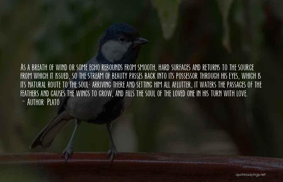 Plato Quotes: As A Breath Of Wind Or Some Echo Rebounds From Smooth, Hard Surfaces And Returns To The Source From Which