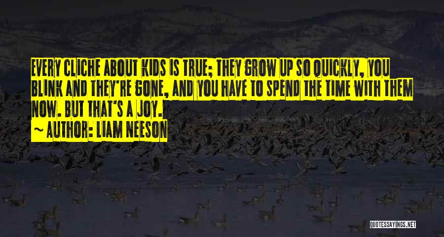 Liam Neeson Quotes: Every Cliche About Kids Is True; They Grow Up So Quickly, You Blink And They're Gone, And You Have To