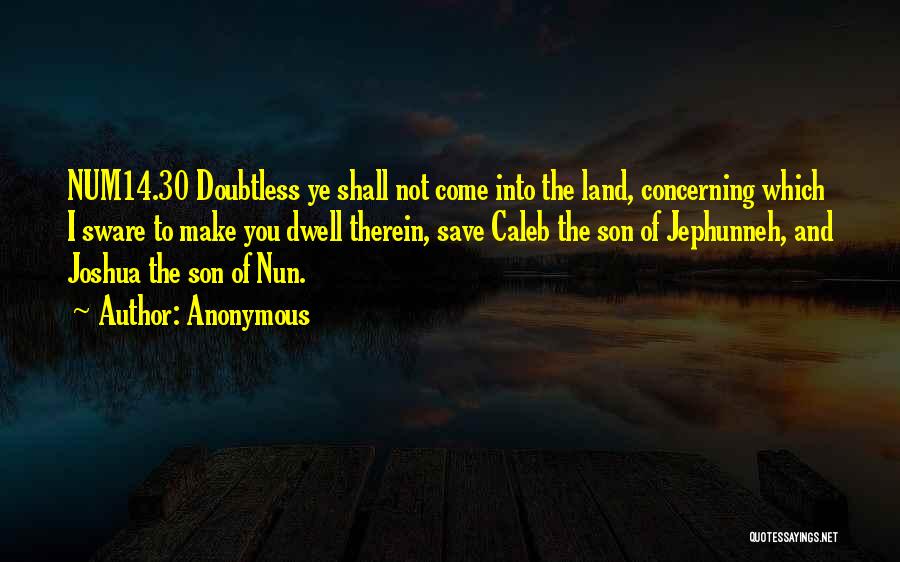 Anonymous Quotes: Num14.30 Doubtless Ye Shall Not Come Into The Land, Concerning Which I Sware To Make You Dwell Therein, Save Caleb