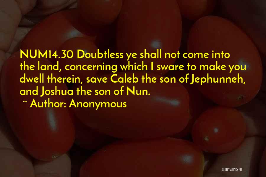 Anonymous Quotes: Num14.30 Doubtless Ye Shall Not Come Into The Land, Concerning Which I Sware To Make You Dwell Therein, Save Caleb