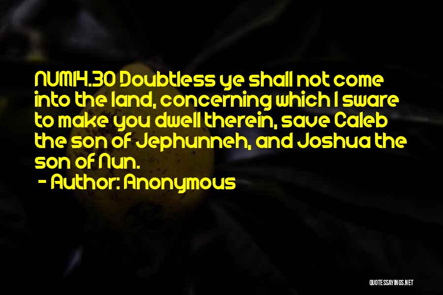Anonymous Quotes: Num14.30 Doubtless Ye Shall Not Come Into The Land, Concerning Which I Sware To Make You Dwell Therein, Save Caleb