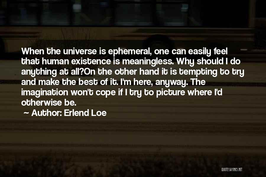 Erlend Loe Quotes: When The Universe Is Ephemeral, One Can Easily Feel That Human Existence Is Meaningless. Why Should I Do Anything At