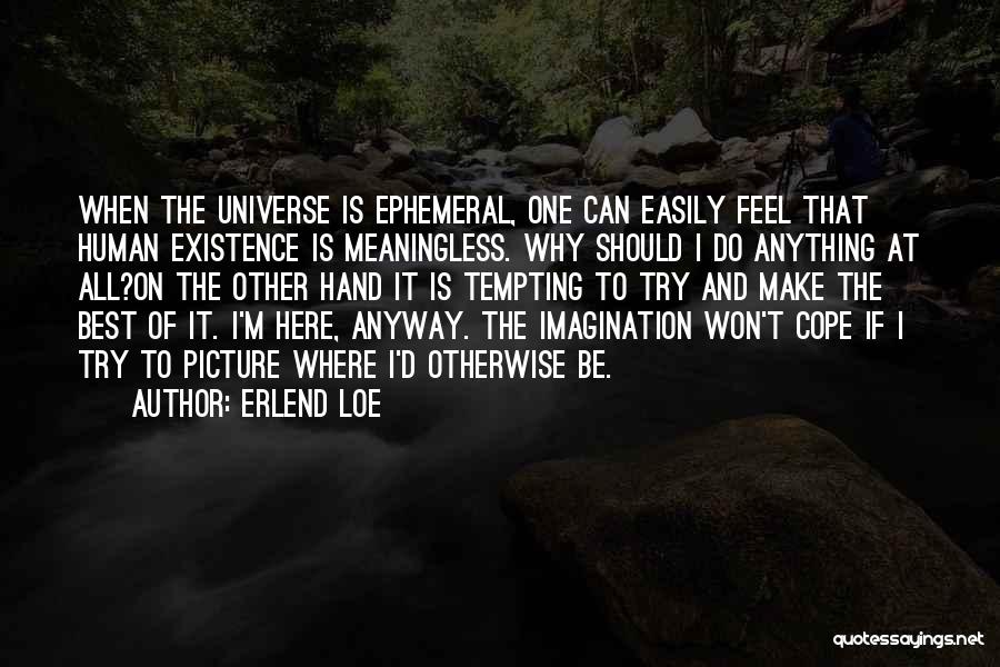 Erlend Loe Quotes: When The Universe Is Ephemeral, One Can Easily Feel That Human Existence Is Meaningless. Why Should I Do Anything At