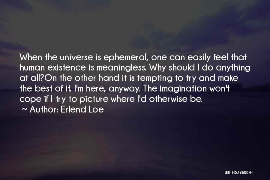 Erlend Loe Quotes: When The Universe Is Ephemeral, One Can Easily Feel That Human Existence Is Meaningless. Why Should I Do Anything At