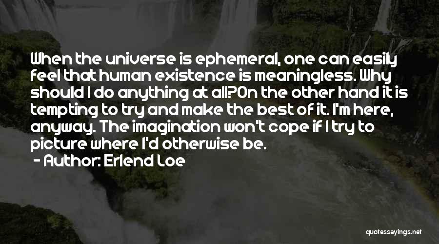 Erlend Loe Quotes: When The Universe Is Ephemeral, One Can Easily Feel That Human Existence Is Meaningless. Why Should I Do Anything At