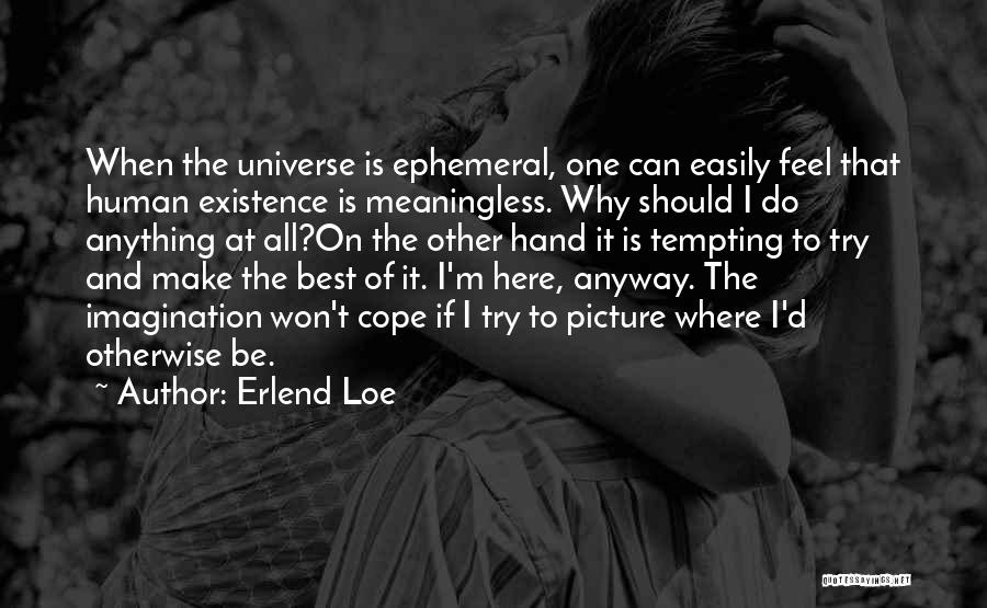 Erlend Loe Quotes: When The Universe Is Ephemeral, One Can Easily Feel That Human Existence Is Meaningless. Why Should I Do Anything At