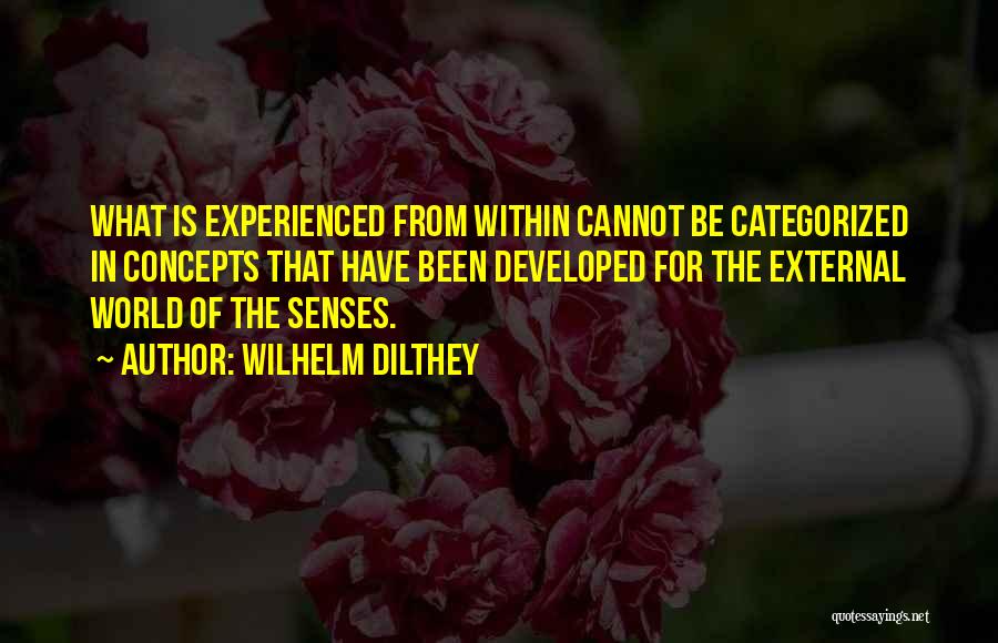 Wilhelm Dilthey Quotes: What Is Experienced From Within Cannot Be Categorized In Concepts That Have Been Developed For The External World Of The