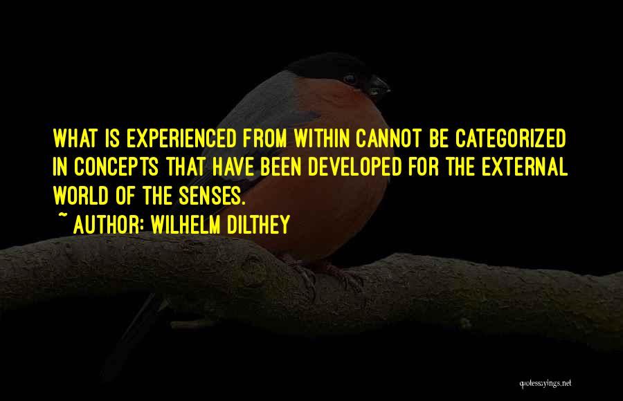 Wilhelm Dilthey Quotes: What Is Experienced From Within Cannot Be Categorized In Concepts That Have Been Developed For The External World Of The