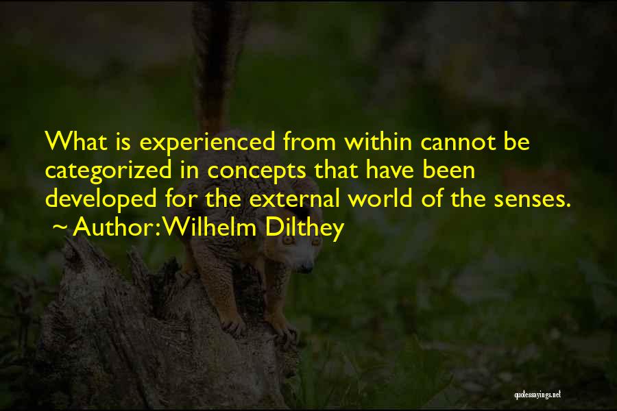 Wilhelm Dilthey Quotes: What Is Experienced From Within Cannot Be Categorized In Concepts That Have Been Developed For The External World Of The