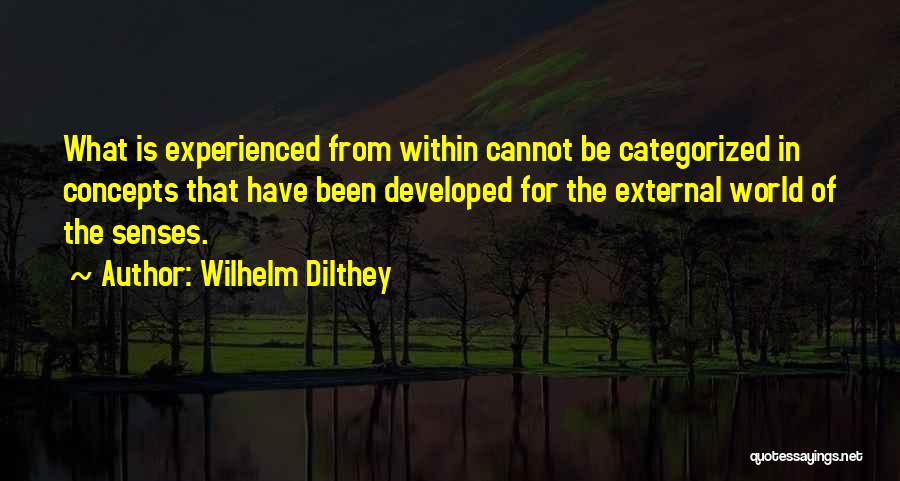 Wilhelm Dilthey Quotes: What Is Experienced From Within Cannot Be Categorized In Concepts That Have Been Developed For The External World Of The