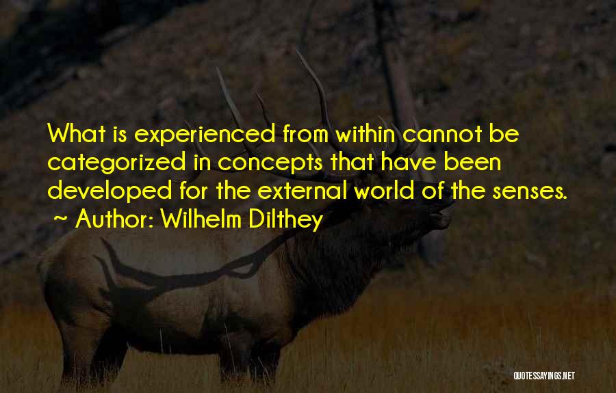 Wilhelm Dilthey Quotes: What Is Experienced From Within Cannot Be Categorized In Concepts That Have Been Developed For The External World Of The