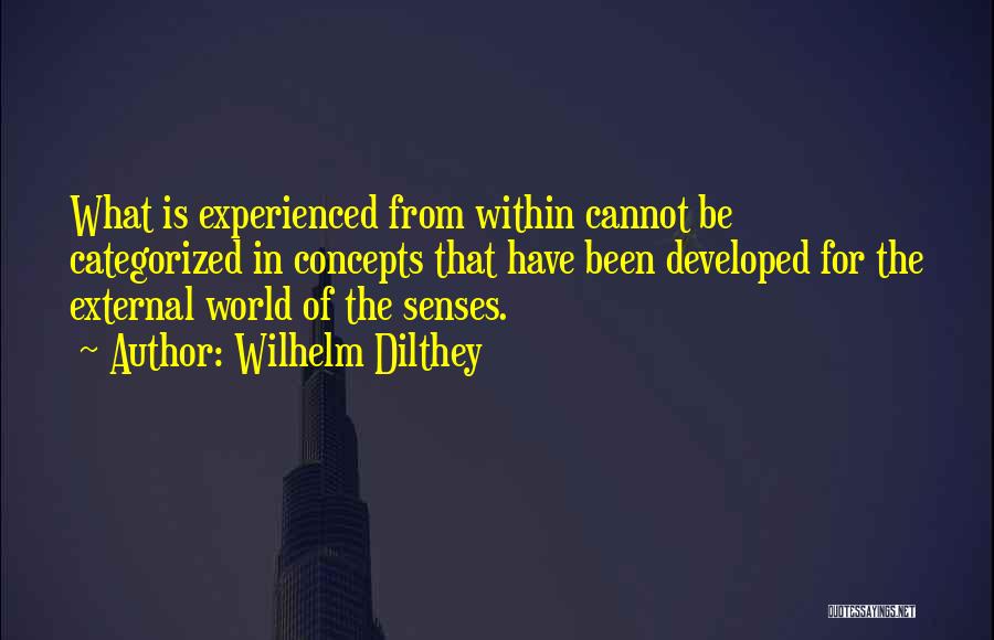 Wilhelm Dilthey Quotes: What Is Experienced From Within Cannot Be Categorized In Concepts That Have Been Developed For The External World Of The