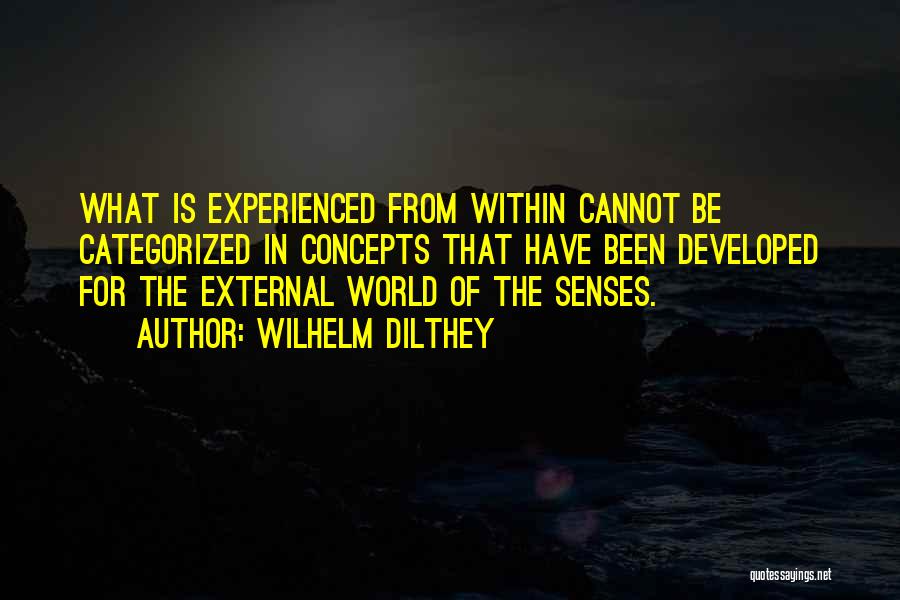 Wilhelm Dilthey Quotes: What Is Experienced From Within Cannot Be Categorized In Concepts That Have Been Developed For The External World Of The