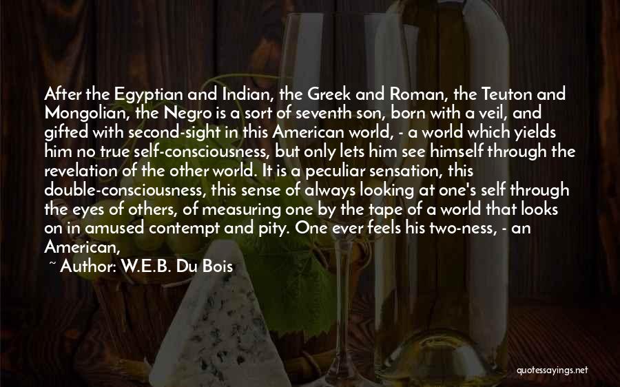 W.E.B. Du Bois Quotes: After The Egyptian And Indian, The Greek And Roman, The Teuton And Mongolian, The Negro Is A Sort Of Seventh
